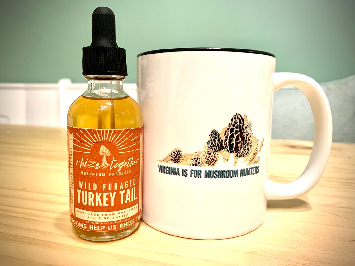 Turkey Tail Mushroom Extract