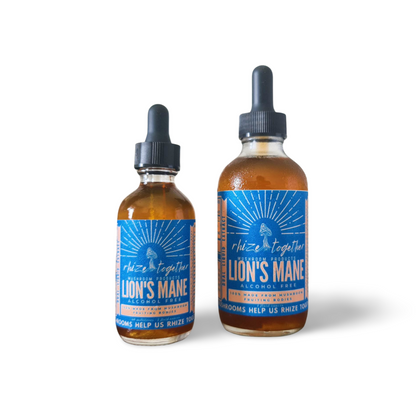 Lion's Mane Mushroom Extract